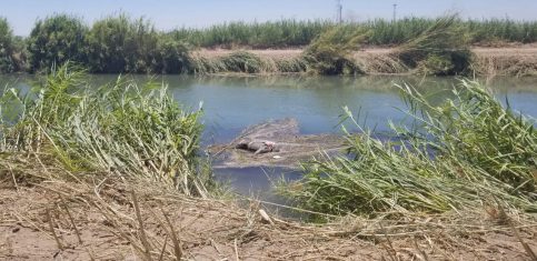 Encuentran cadáver flotando en el canal Bacanora